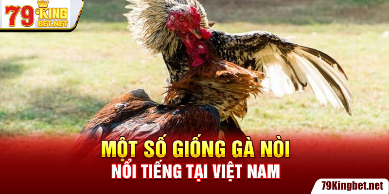 Những Giống Gà Nòi Nổi Tiếng Ở Việt Nam